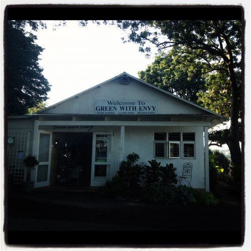 Green with envy Green with envy