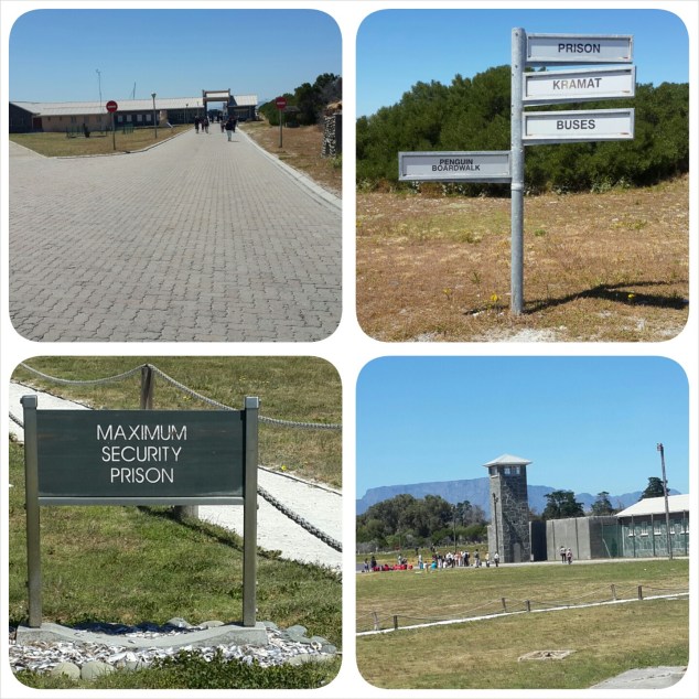 PhotoGrid_1417533496590_resized