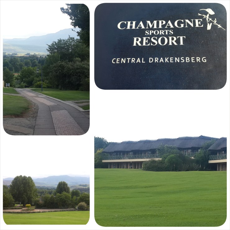 PhotoGrid_1419160960374