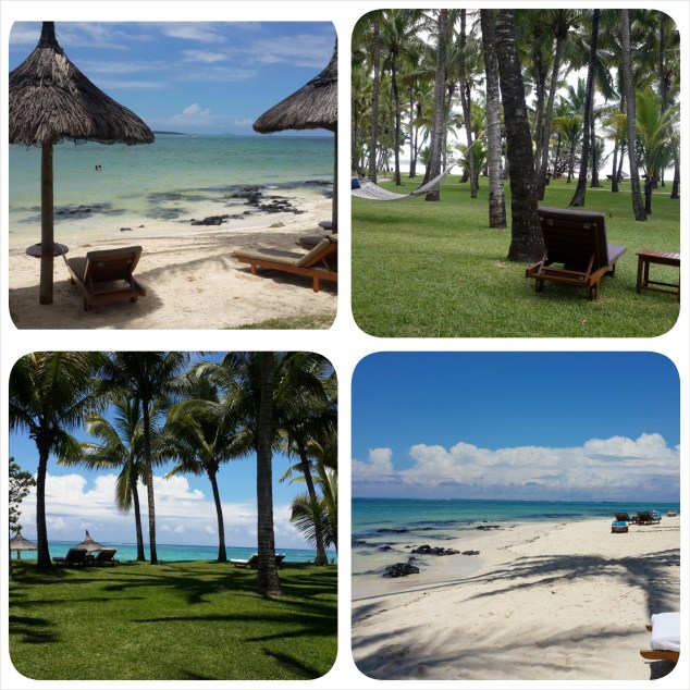 PhotoGrid_1420043030008