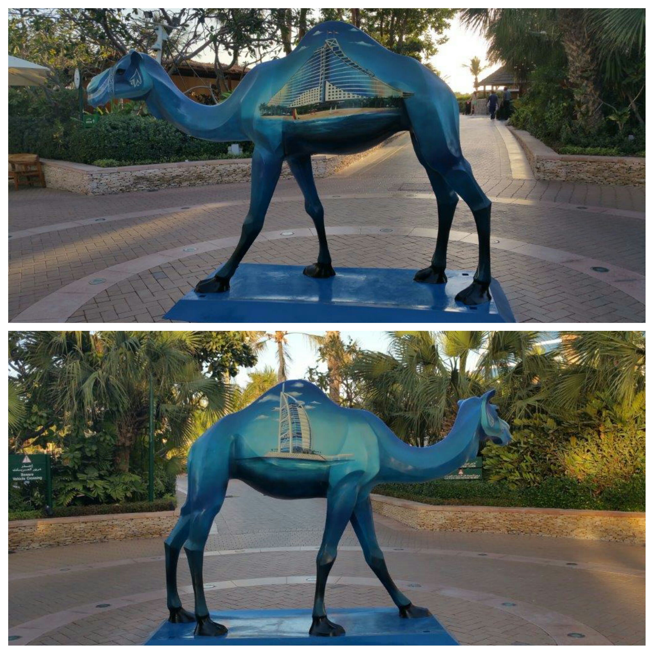 PhotoGrid_1451420092718