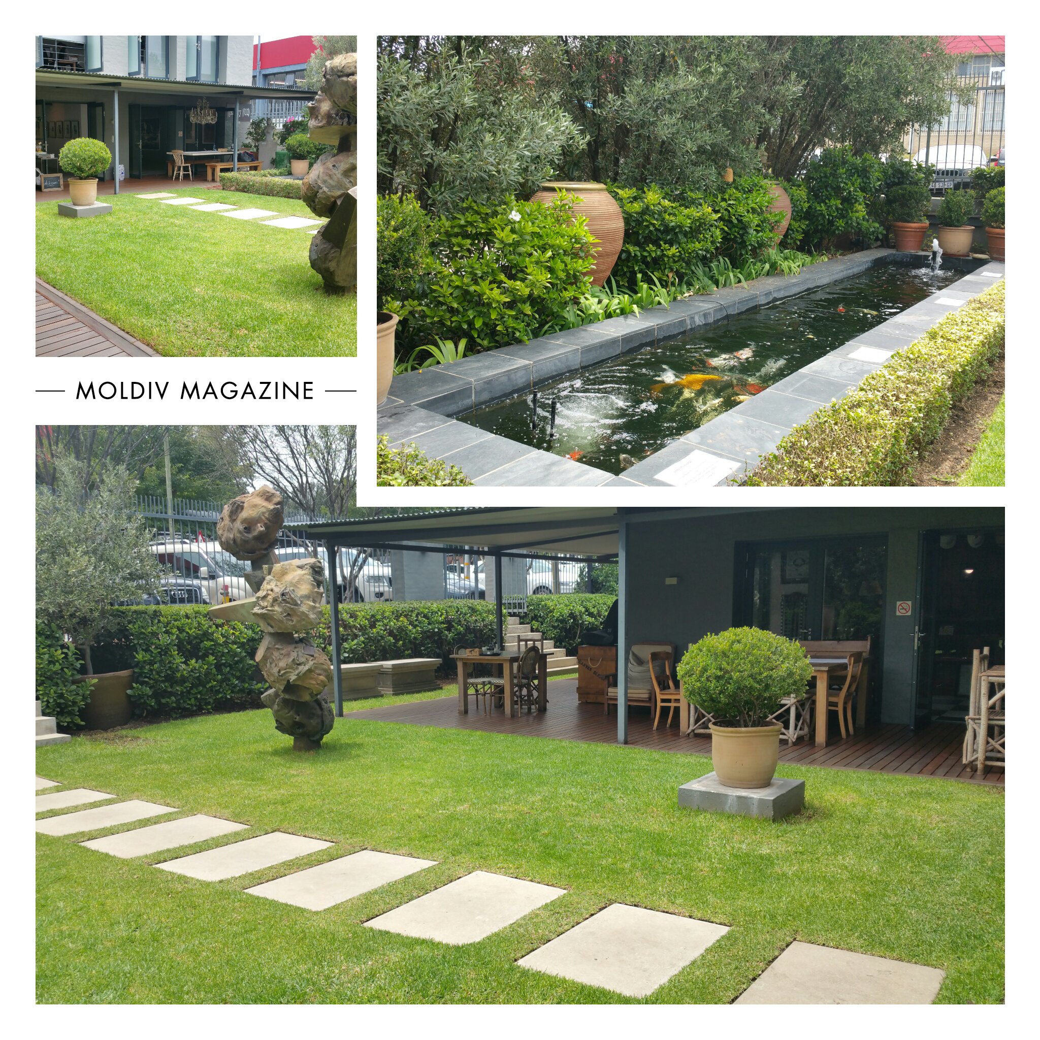 Moldiv_1453993852439