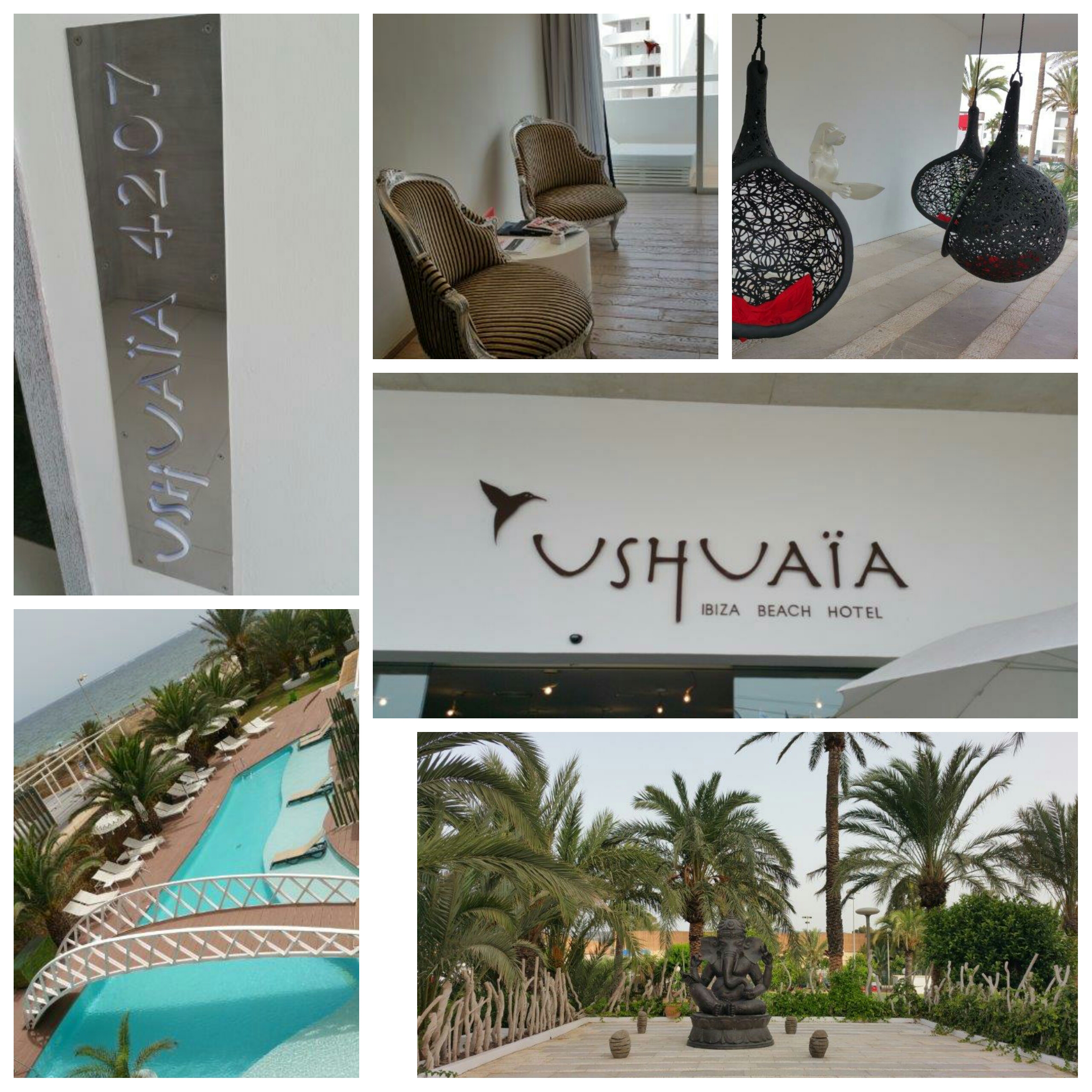 PhotoGrid_1453141629252_1453143714286