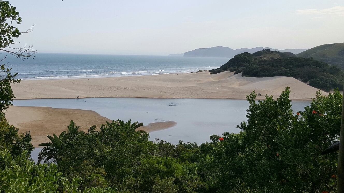 20160306_160543_resized