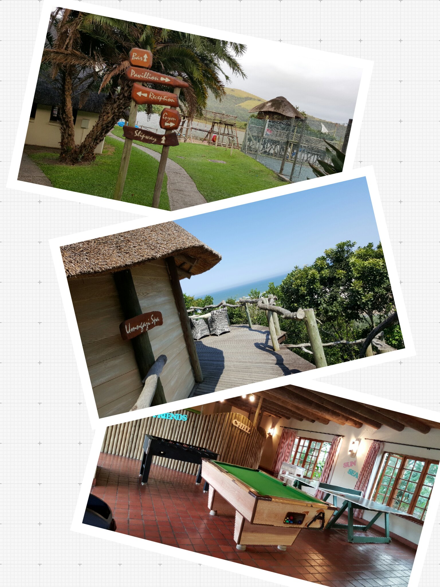 Moldiv_1457592199497