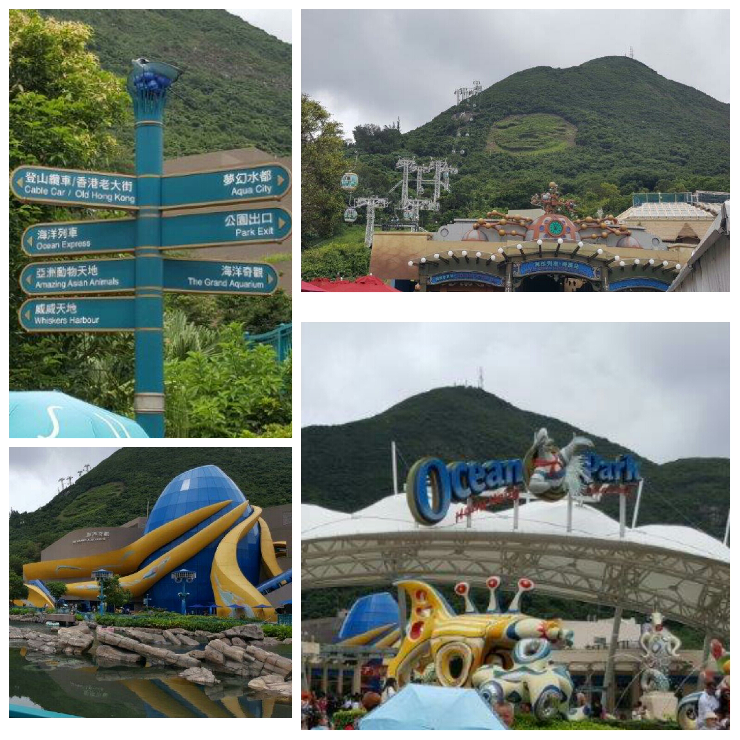 PhotoGrid_1471968416020