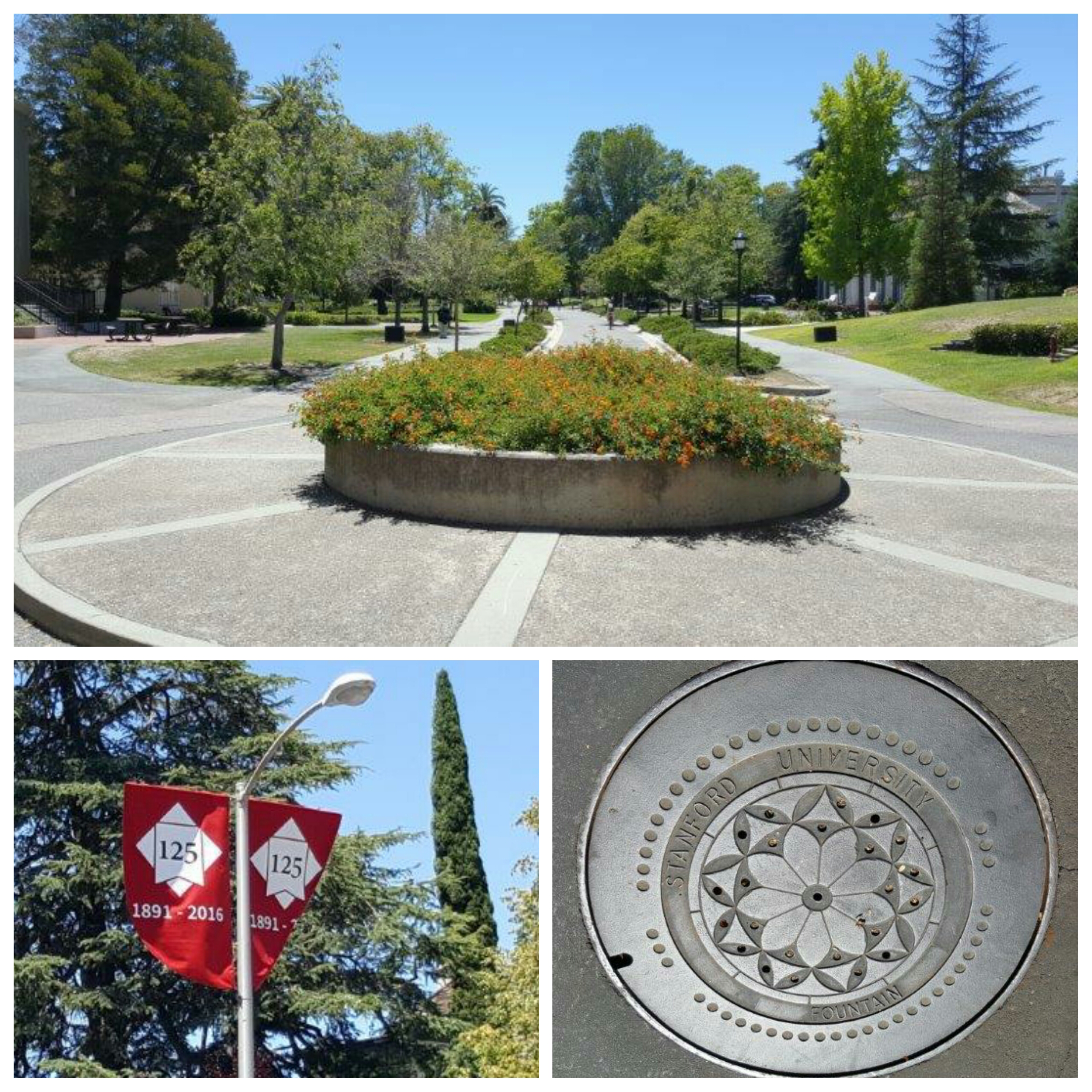 photogrid_1473969766234