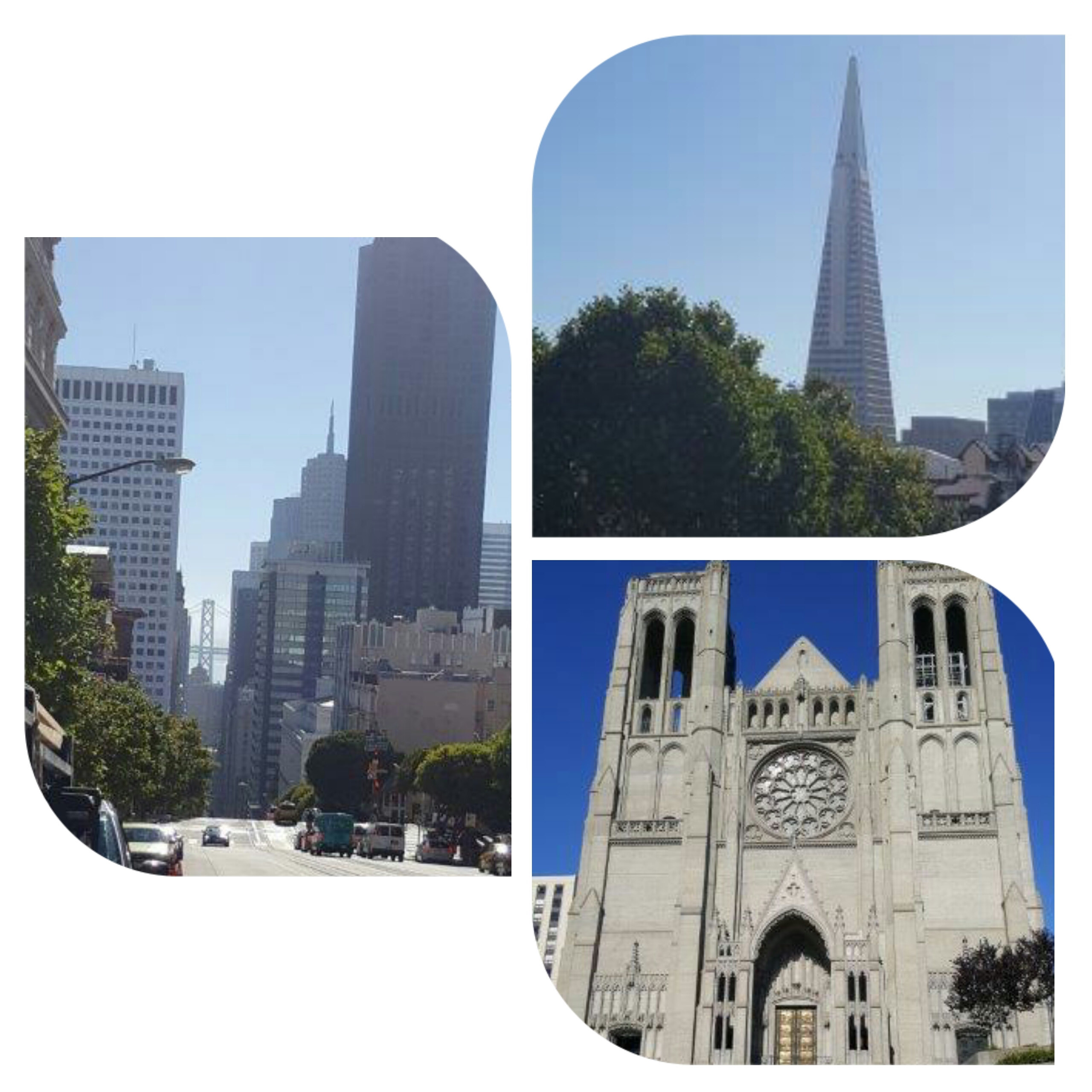 photogrid_1474664771814