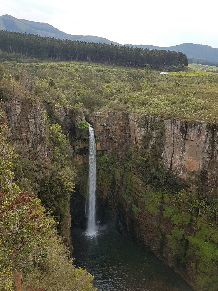 20161021_150847_resized