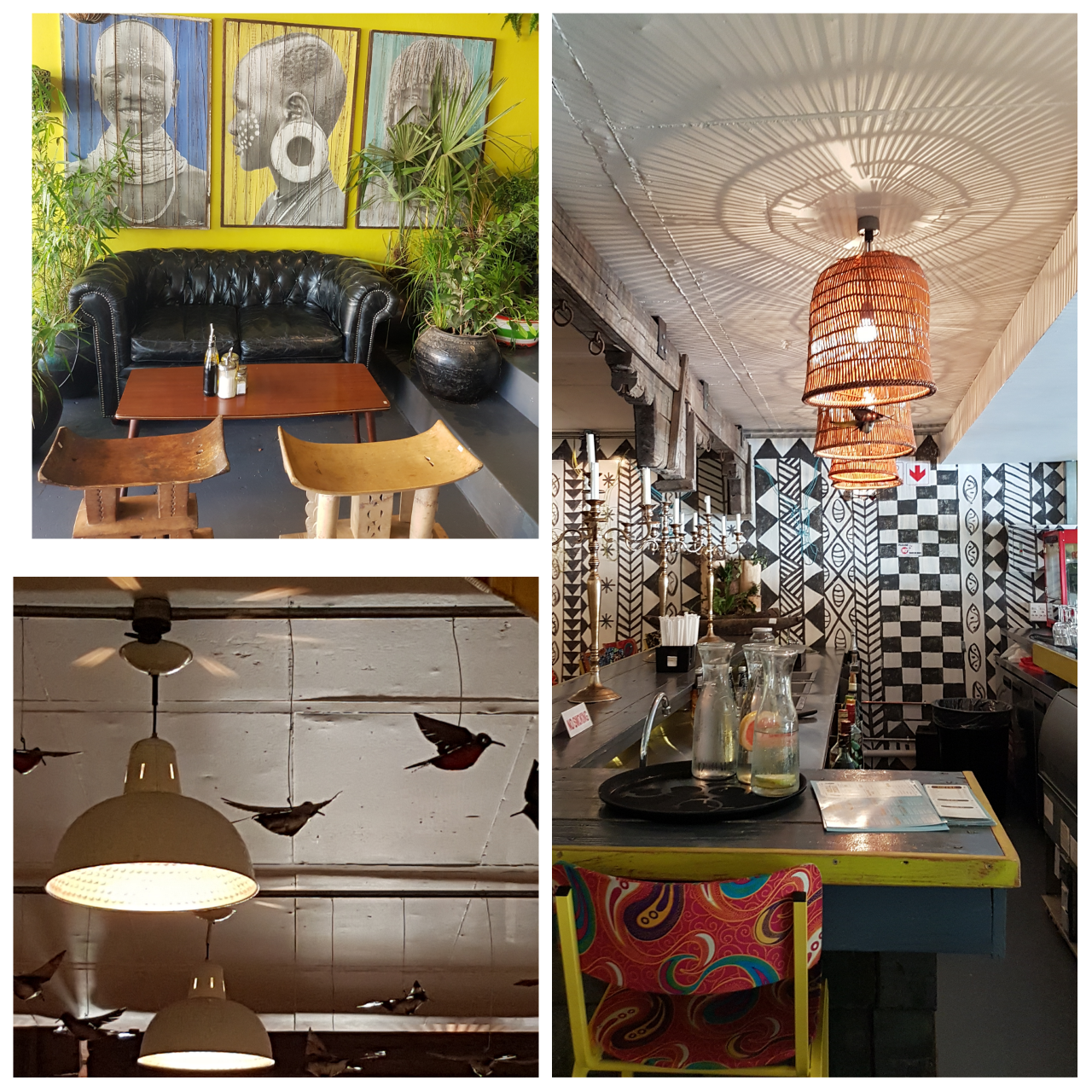 photogrid_1479304009862_resized_1