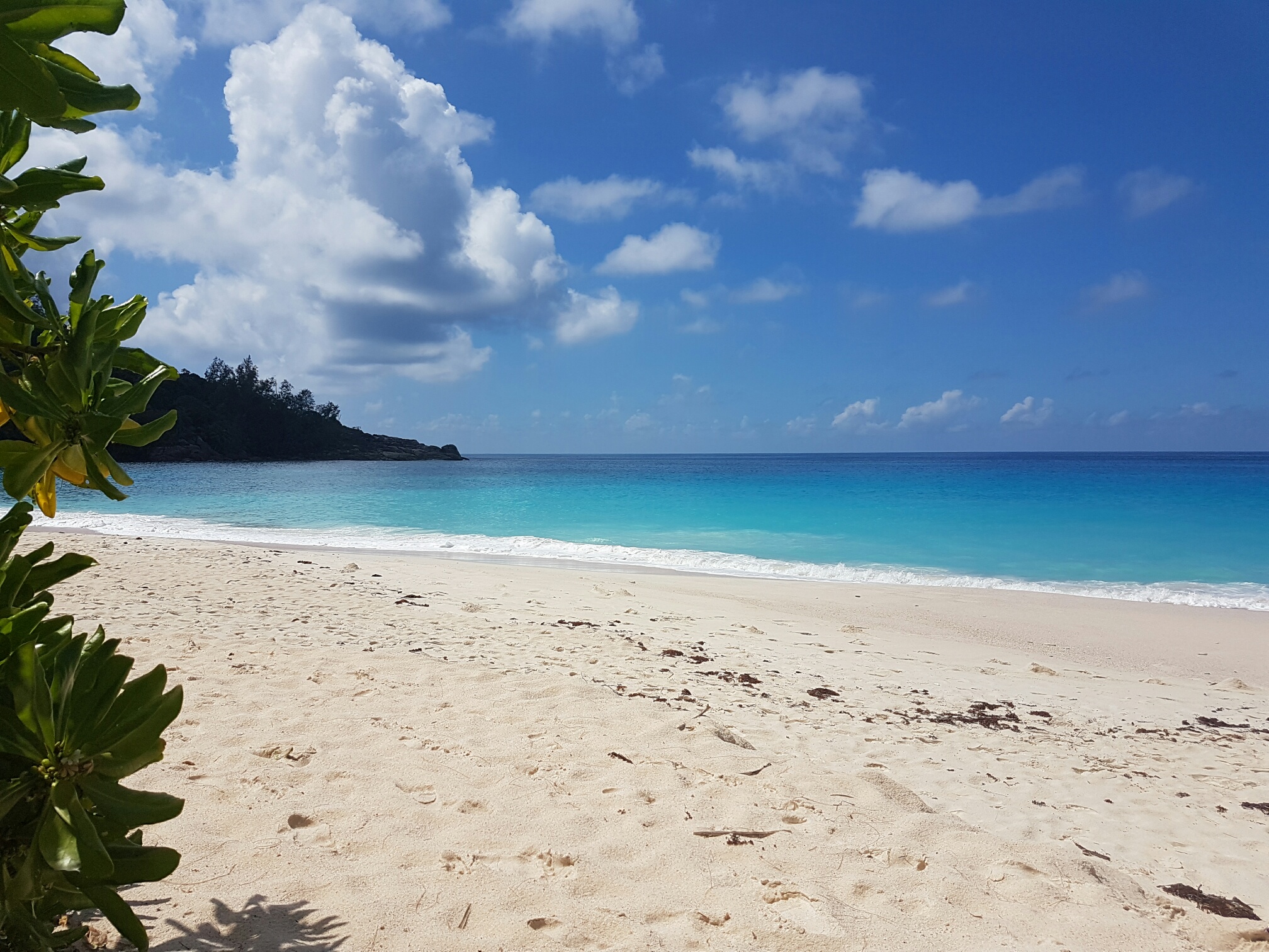 20161222_104435_resized