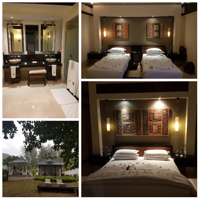 photogrid_1482859761208_resized