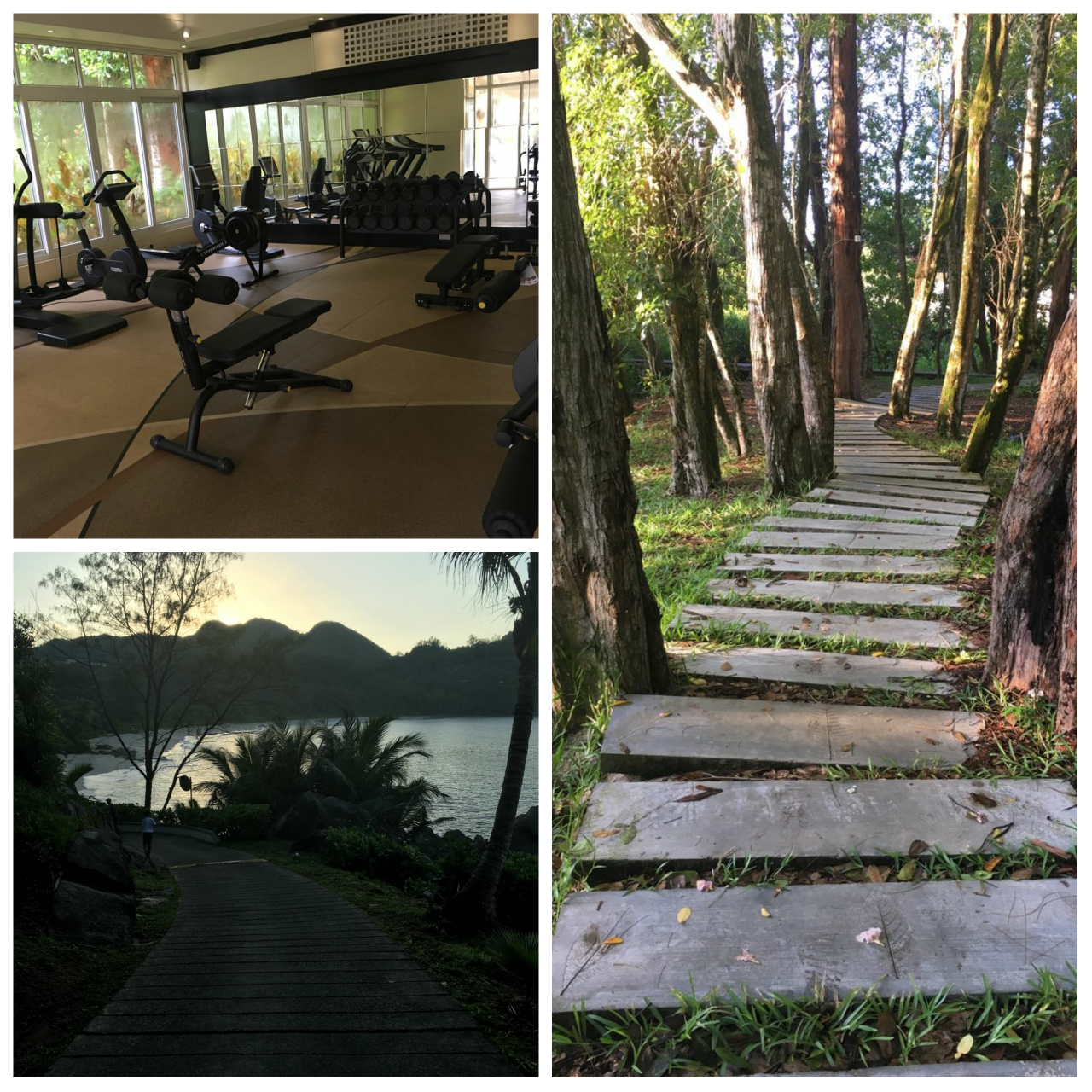 photogrid_1482860307316_resized