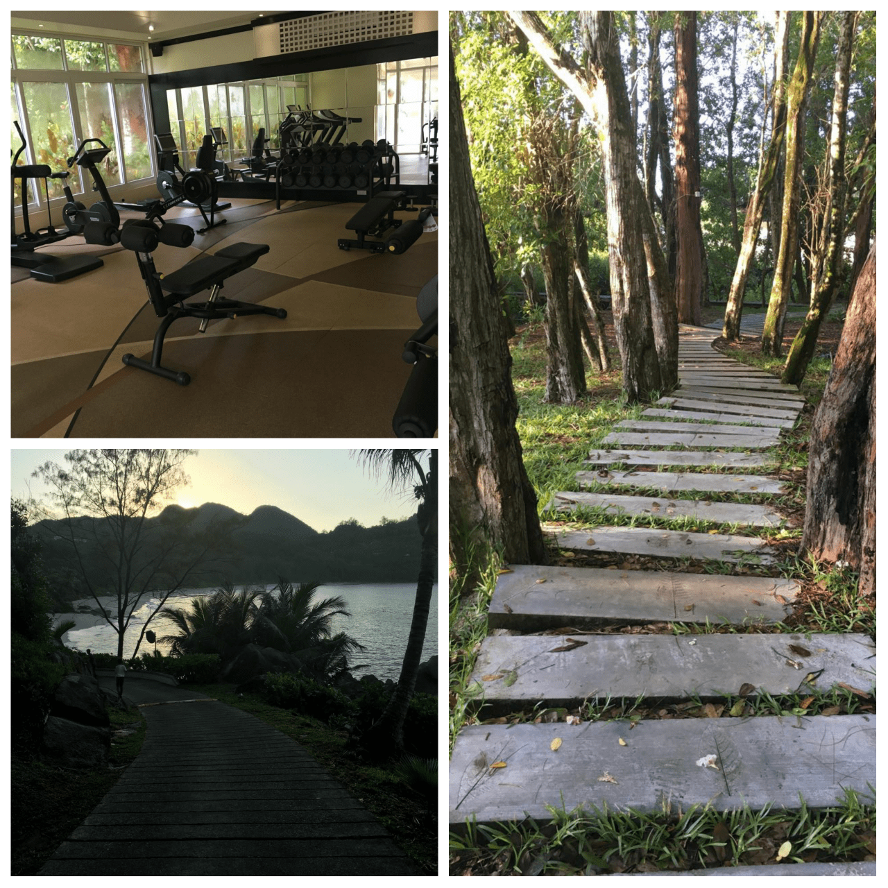 photogrid_1482860307316_resized