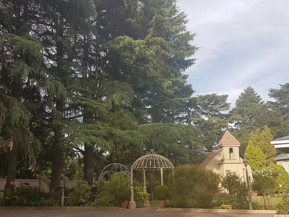 20170128_173205_resized