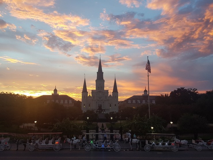 20170814_194556_resized