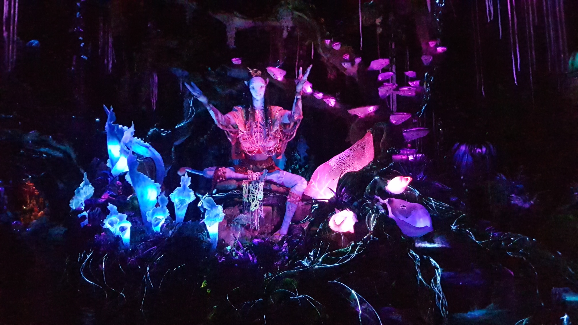 20170816_144142_resized