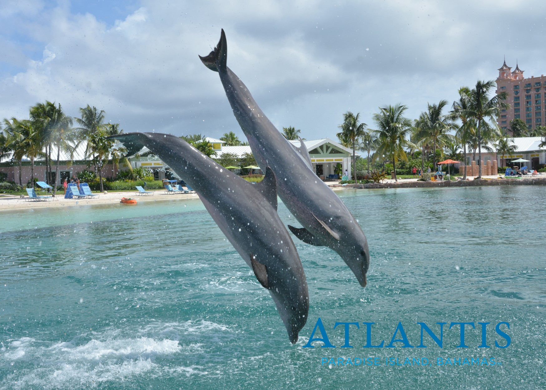 81d3565436184fee9308792e17753f39