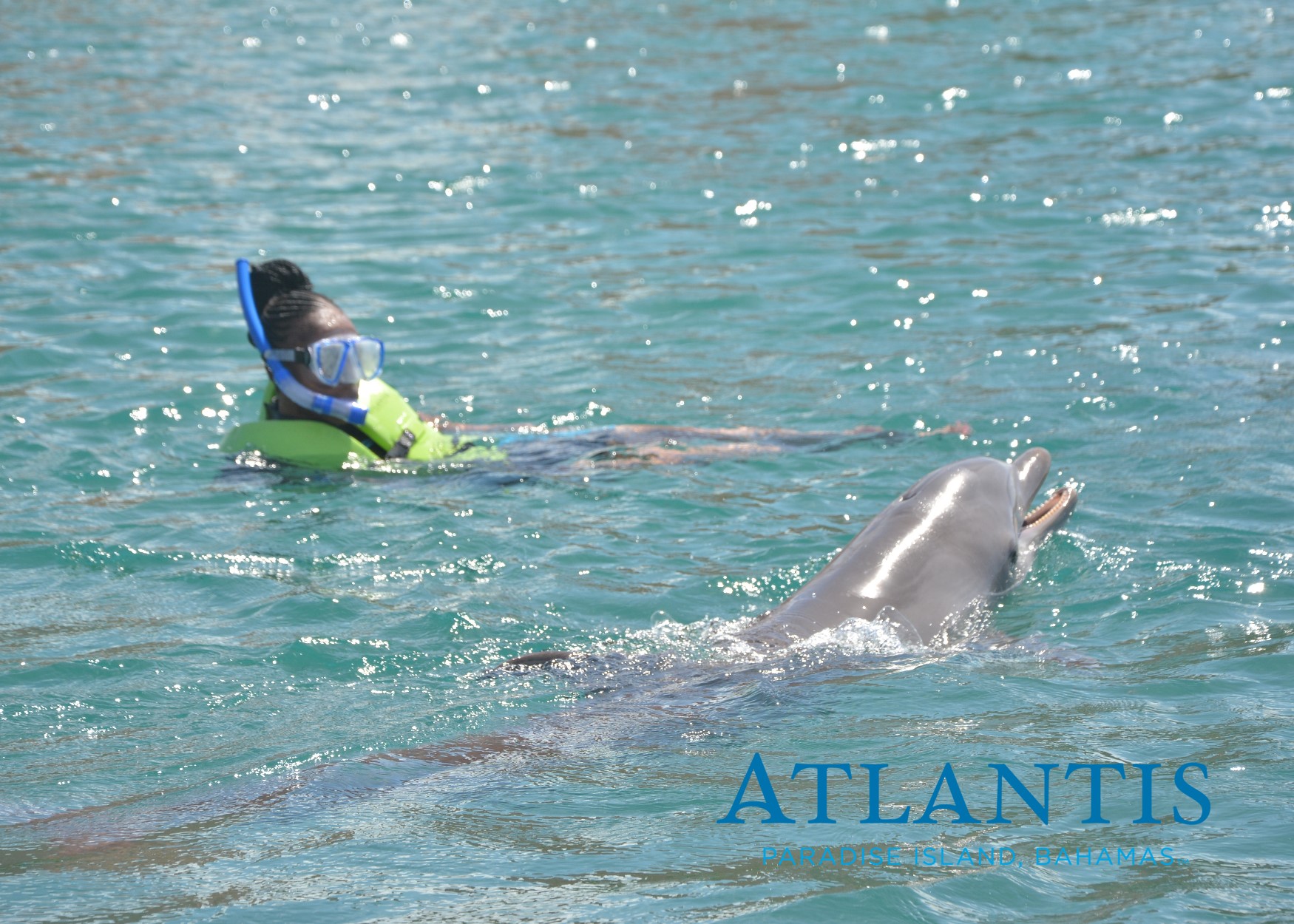 a222c10b3ad54f419324d1bc9688c7b5