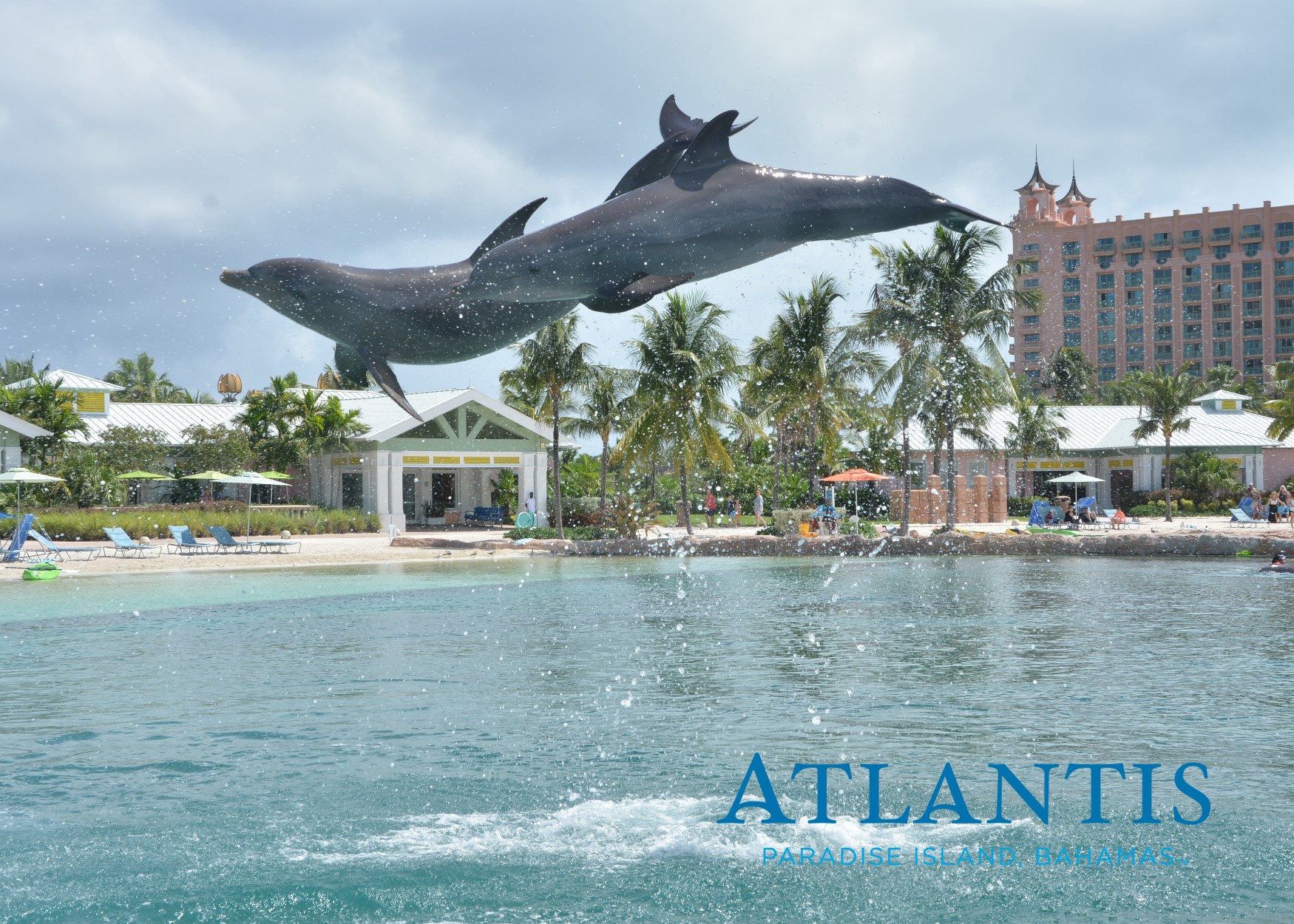 dcb8c9b699864f27be664f2527f6e06c