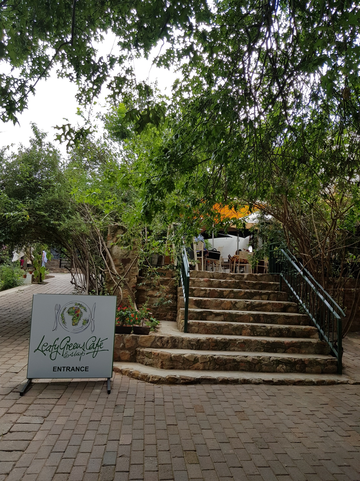 20180126_142012_resized