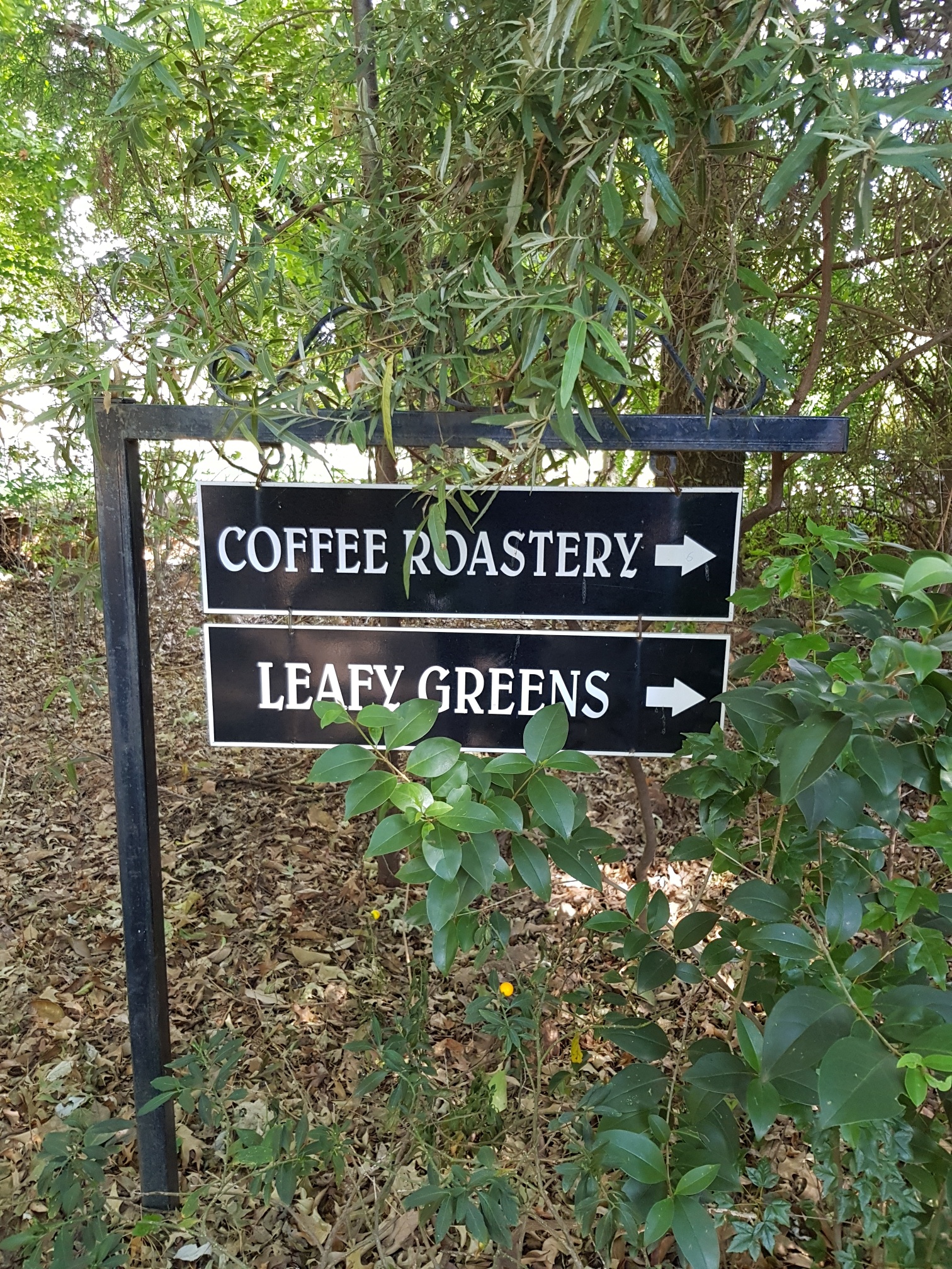 20180126_155213_resized