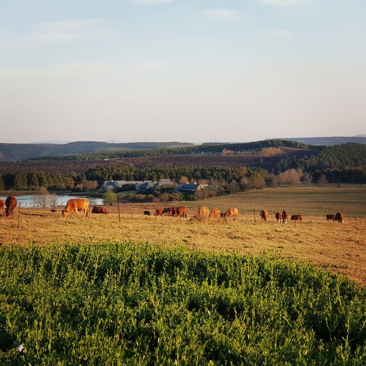 IMG_20180830_172707_417