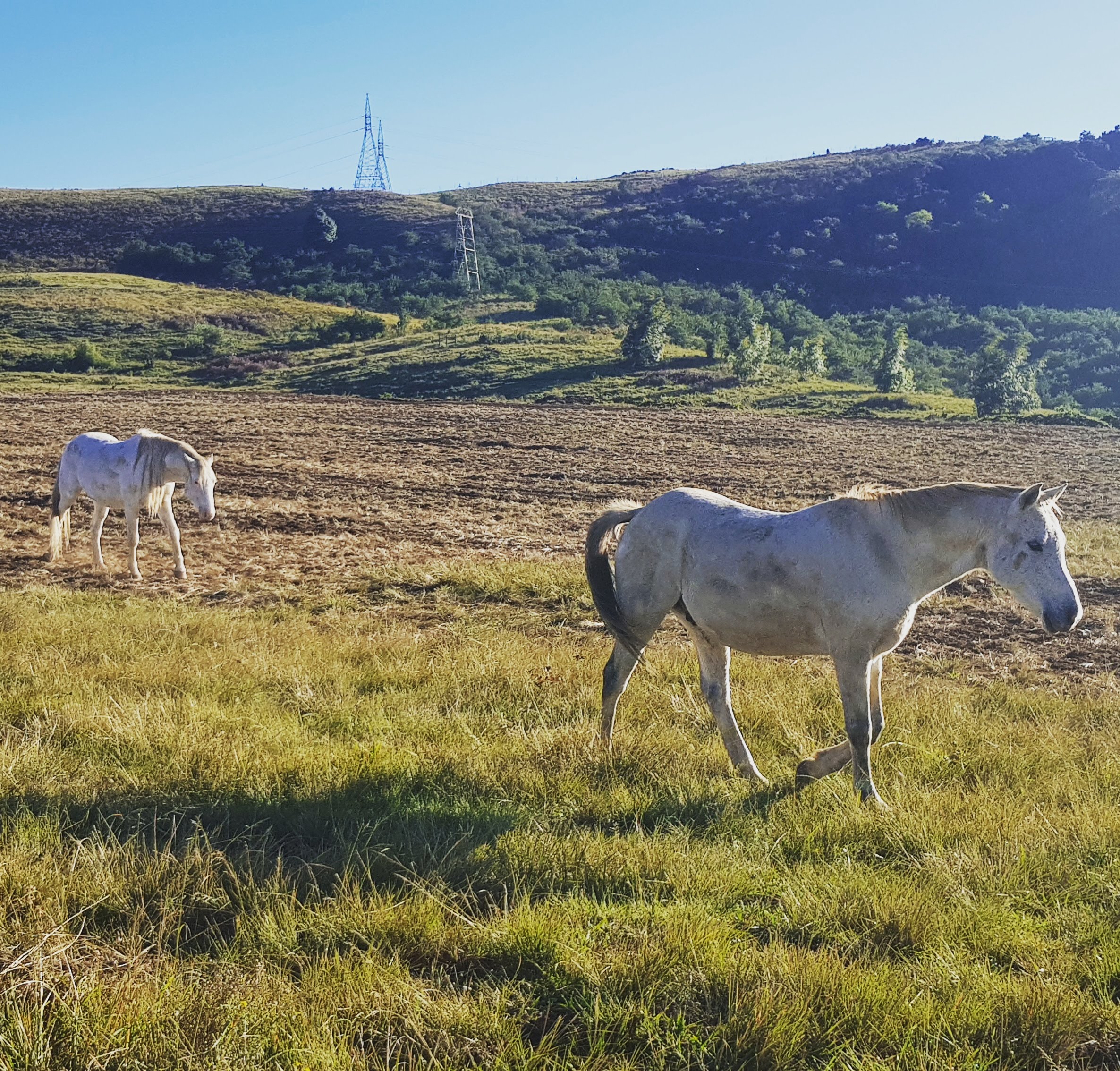 IMG_20190430_095517_370