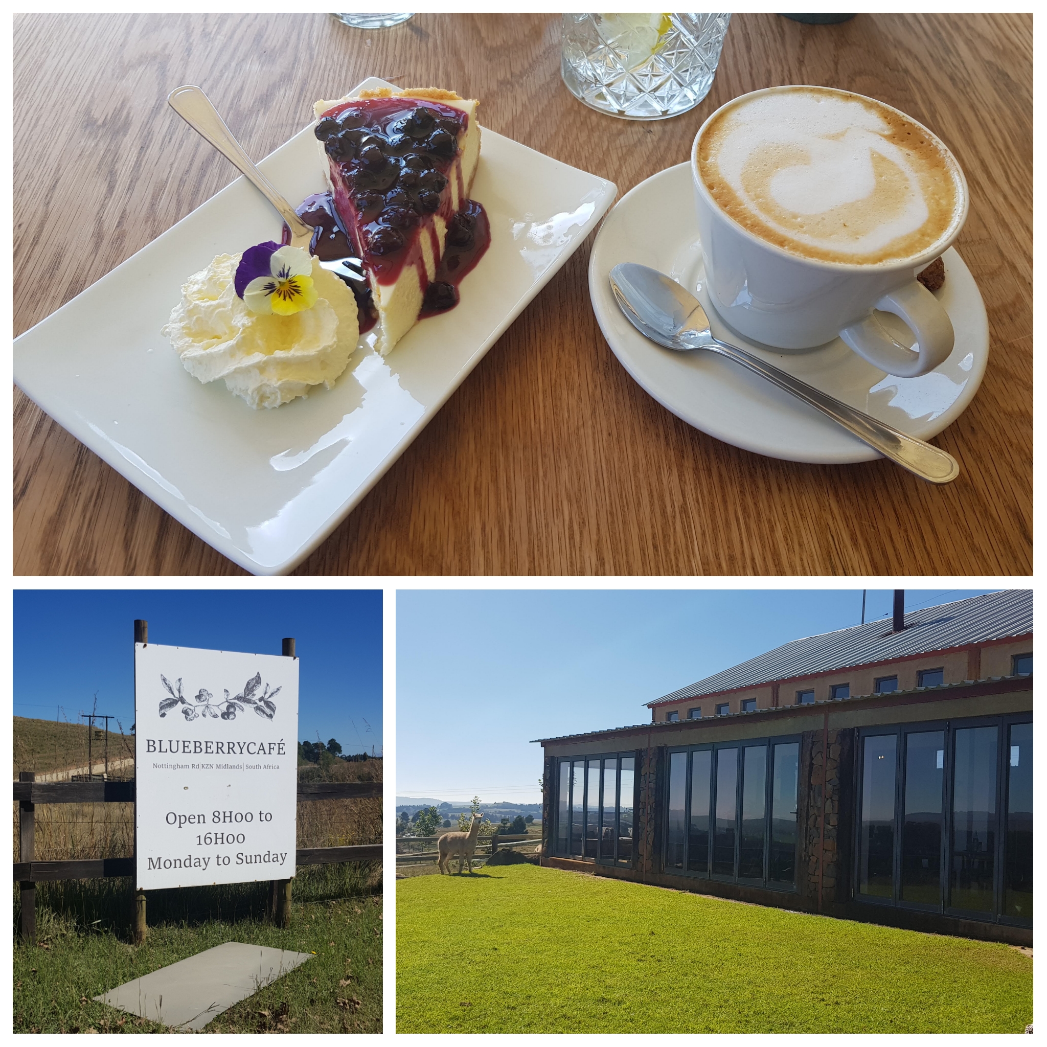 PhotoGrid_1588339823248