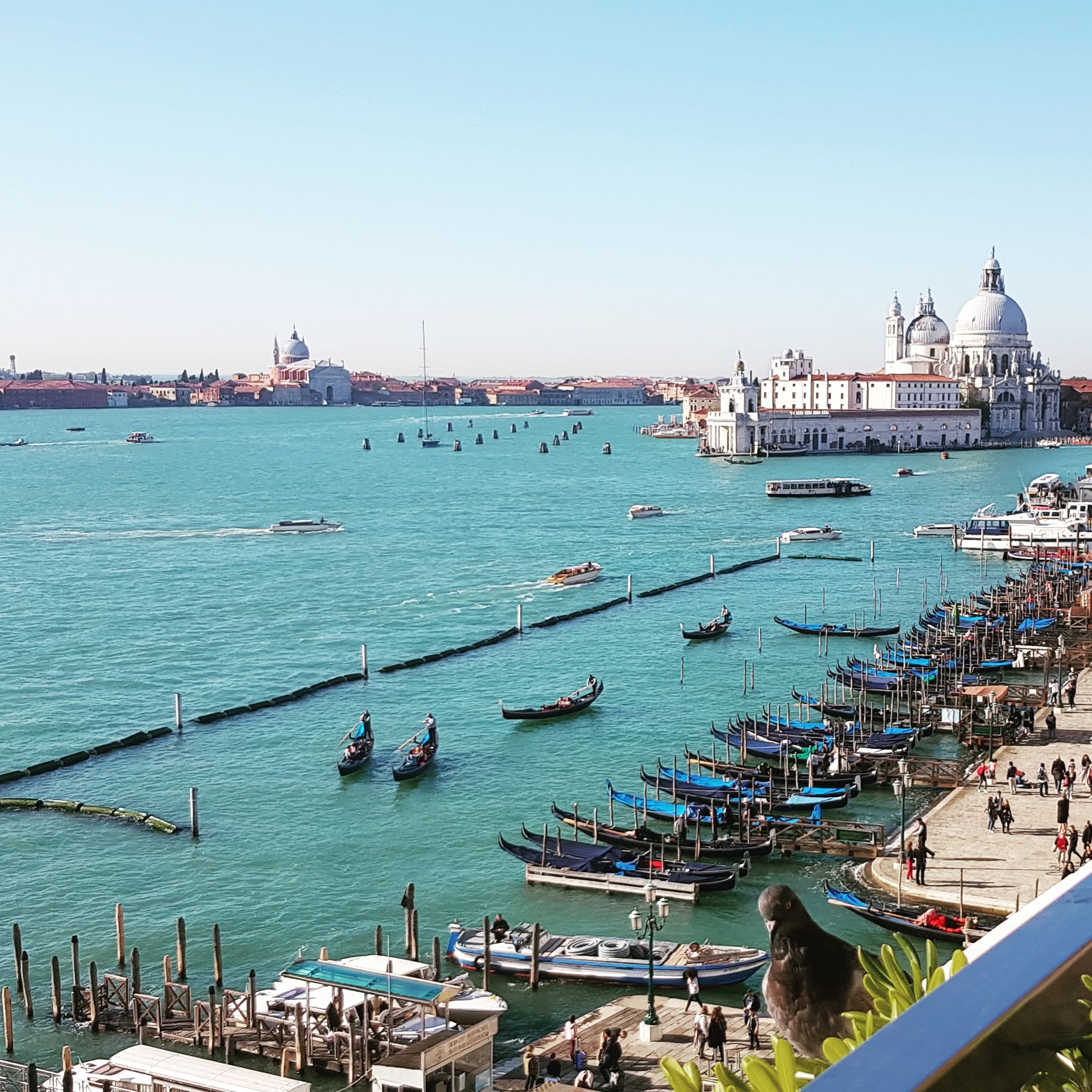 IMG_20181022_105348_113