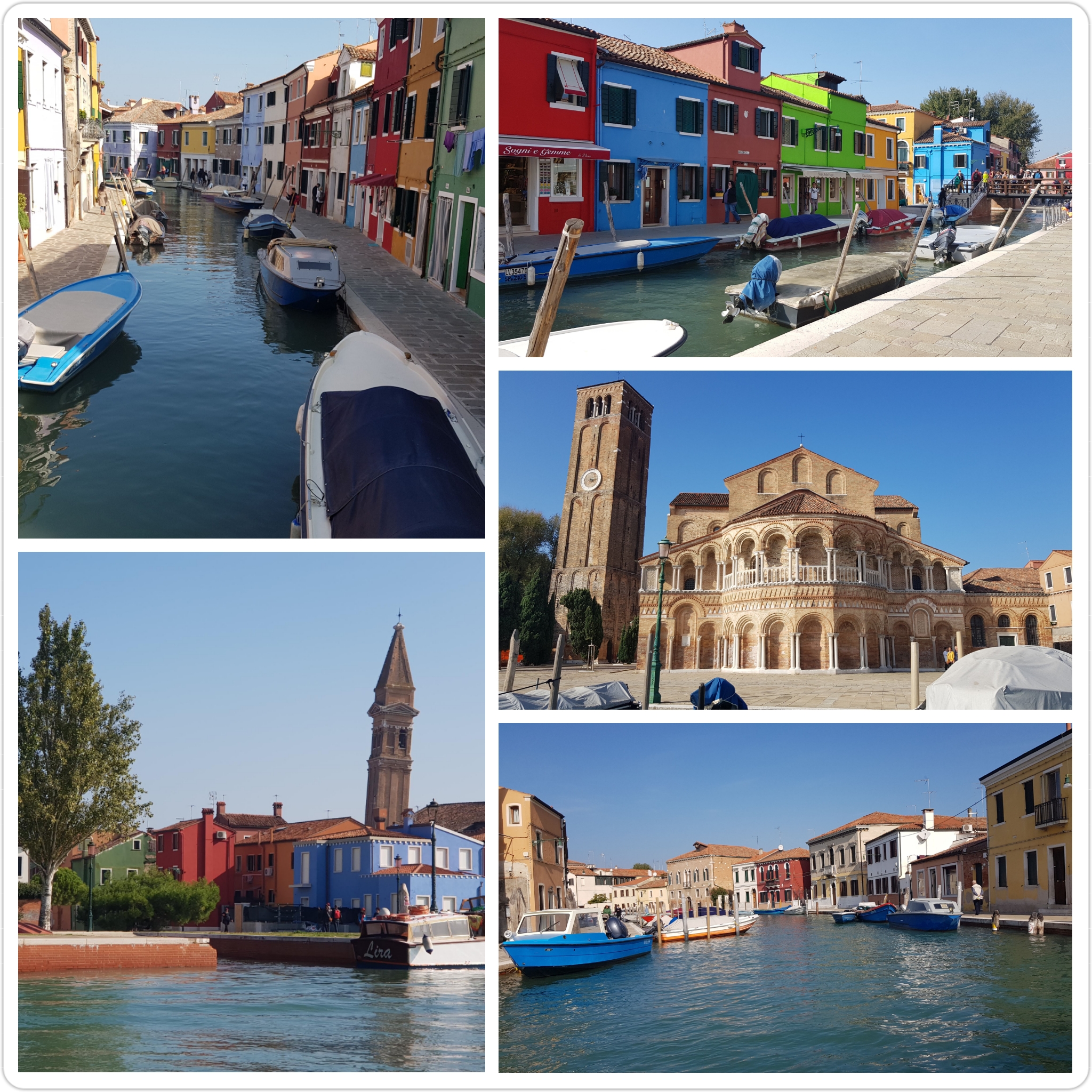 PhotoGrid_1597943256558