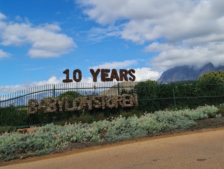 Brunching at the Greenhouse Restaurant – Babylonstoren